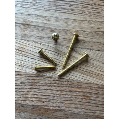 Skruer i guld/messing farve