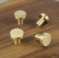 Rund møbelknop i børstet messing (Ø: 25mm - 28mm - 33mm - 44 mm) - Grebet